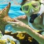 Combo El Yunque Rainforest and San Juan Snorkeling with Transport - Analyzing Value: Is It Worth It?