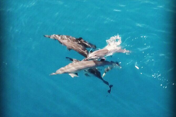 Combo Jet Ski Excursion + 4X4 Safari - Who Should Consider This Tour?