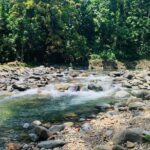 Concrete Jungle to the Actual Jungle, The Complete Package Tour - El Yunque Rainforest: The Heart of the Adventure