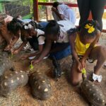 Connors Farms Petting Zoo - The Itinerary: What to Expect