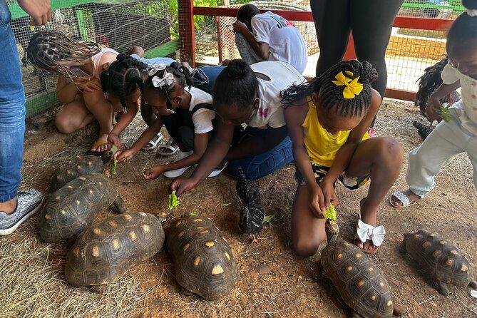 Connors Farms Petting Zoo - The Itinerary: What to Expect