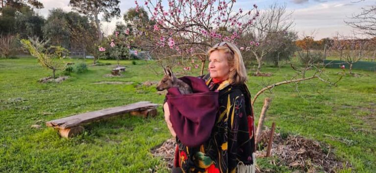 Coonawarra: Caves, Cabernet, & Kangaroos Day Tour & Lunch - Lunch at Ottelia: Savoring Local Flavors