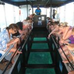 Coral Bay Glass-Bottom Boat Tour - The Marine Life and Coral You’ll See