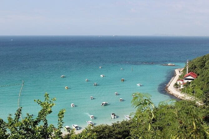 Coral Island Tour and Water Activities with Meal in Pattaya - Who Is This Tour Best For?