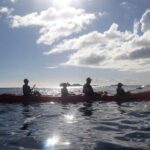 Coral Reef and Turtle Discovery Tour - Why This Tour Stands Out