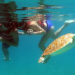 Coral Reef and Turtle Kayak Excursion - Who Should Book This Tour?