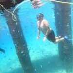 Coral Reef Snorkel Adventure with Photos and Videos - Why This Tour Offers Great Value