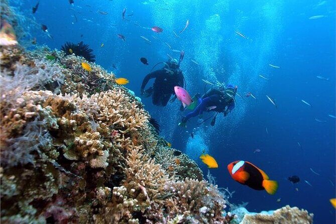 Coral Reef Snorkeling and Floating Bar Party from Nha Trang - Who Is This Tour Best For?
