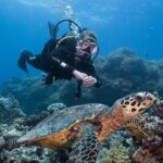 Coral Sea Dreaming Overnight Dive, Snorkel and Sail - Pricing and Value: Is It Worth It?