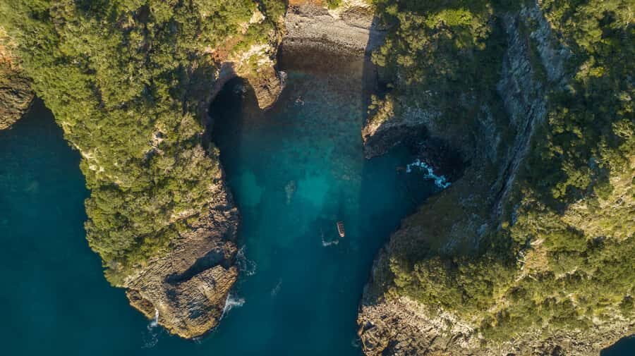 Coromandel: Aldermen Islands Marine Reserve Wildlife Cruise - An In-Depth Look at the Coromandel: Aldermen Islands Wildlife Cruise
