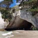 Coromandel Cathedral Cove Walk & Hot Water Beach Day Tour - Who Is This Tour Best For?