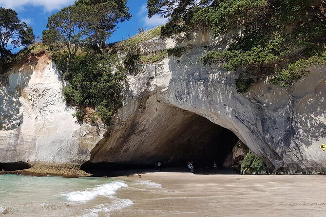 Coromandel Cathedral Cove Walk & Hot Water Beach Day Tour - Who Is This Tour Best For?