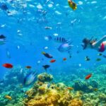 Coron: 2-Day Guided Overnight Island Stay with Meals - The Authentic Overnighter: Is It Worth It?