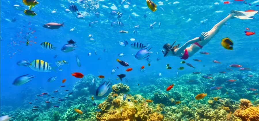 Coron: 2-Day Guided Overnight Island Stay with Meals - The Authentic Overnighter: Is It Worth It?