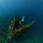 Coron: Barracuda Lake and Reef Garden Tour with Lunch - What Makes This Tour Stand Out?