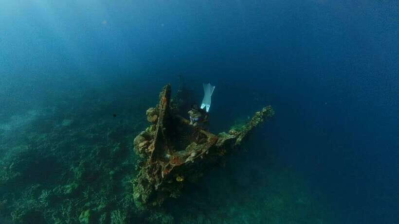 Coron: Barracuda Lake and Reef Garden Tour with Lunch - What Makes This Tour Stand Out?  