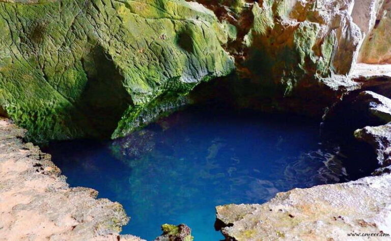 Coron Calauit Safari Tour (Private Tour) - Final Thoughts