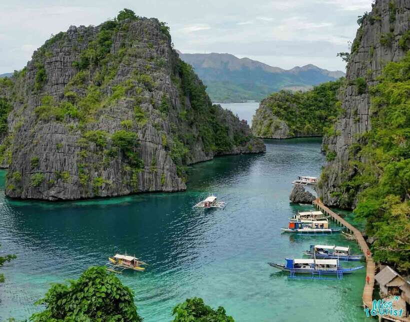 Coron Island Escapade: A Tropical Feast & Adventure - Authentic Insights from Reviews