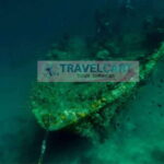 Coron Reef & Wrecks Tour - Transportation & Schedule
