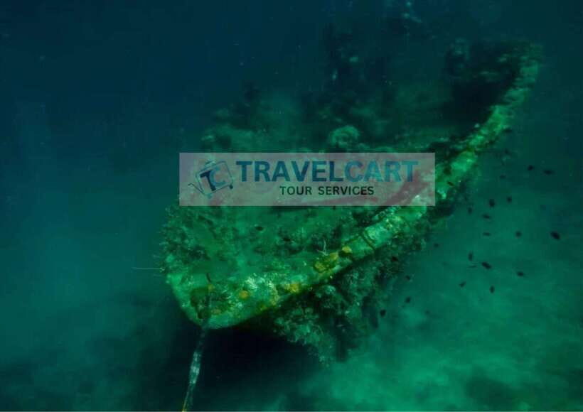 Coron Reef & Wrecks Tour - Transportation & Schedule
