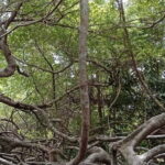 Countryside Bikking - What’s Included and What’s Not