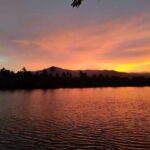 Countryside tours include pepper plantations - The Practical Details: What Makes This Tour Stand Out