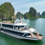Cozy Premium 5 Star Halong Bay Day Tour By Expressway Transfer - Practical Considerations & Tips