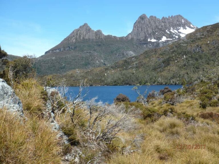 Cradle Mountain: Fully Guided Dove Lake Day Tour with Lunch - Why This Tour Offers Great Value