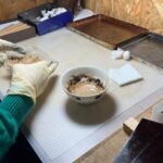 Craft Your Own Japanese Chopsticks Workshop - Final Thoughts: Is This Workshop Right for You?