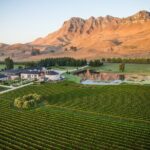 Craggy Range Deluxe Wine Tour - Private Option - What to Expect from Your Day
