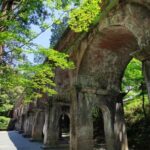 Craig's Kyoto Private Luxury Alphard Tour / The Early Riser - Transportation and Pricing: Analyzing Value