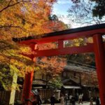 Craig's Kyoto Private Luxury Alphard Tour / The Early Riser - The Personal Guide Experience