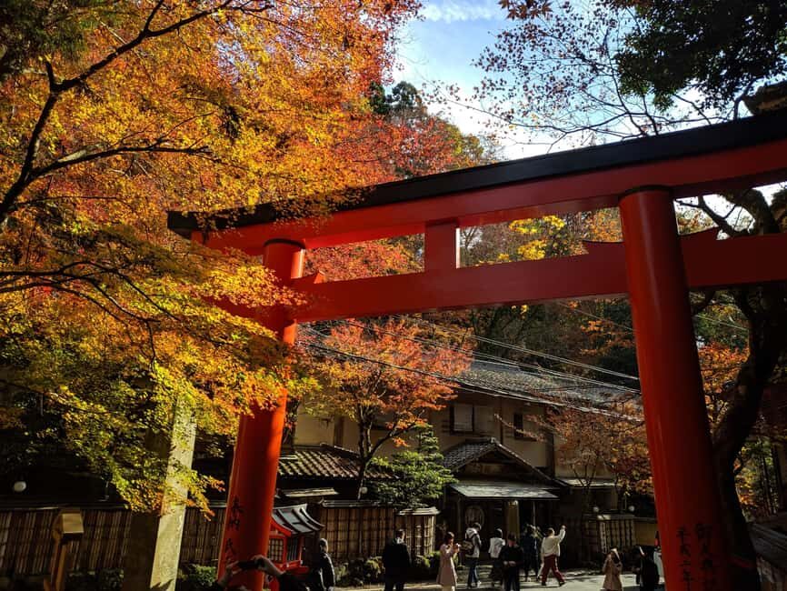 Craig's Kyoto Private Luxury Alphard Tour / The Early Riser - The Personal Guide Experience