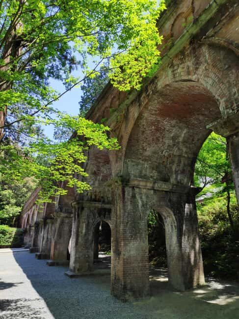 Craig's Kyoto Private Luxury Alphard Tour / The Early Riser - Transportation and Pricing: Analyzing Value