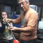 Create Your Own Glass Cup and See Seto's Lucky Cats in Japan - Final Thoughts