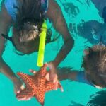 Cristal Speed boat, Snorkeling, Beach Tour & Lunch St Maarten - Value & Practicality