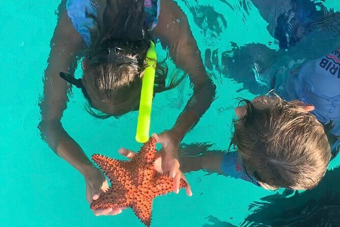 Cristal Speed boat, Snorkeling, Beach Tour & Lunch St Maarten - Value & Practicality