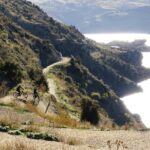 Cromwell: Explore Roxburgh Gorge by eBike & River Cruise - Pricing and Value