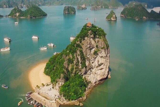 Cruise 3 Day Explore Halong Bay from Hanoi - Who Is This Tour Best Suited For?