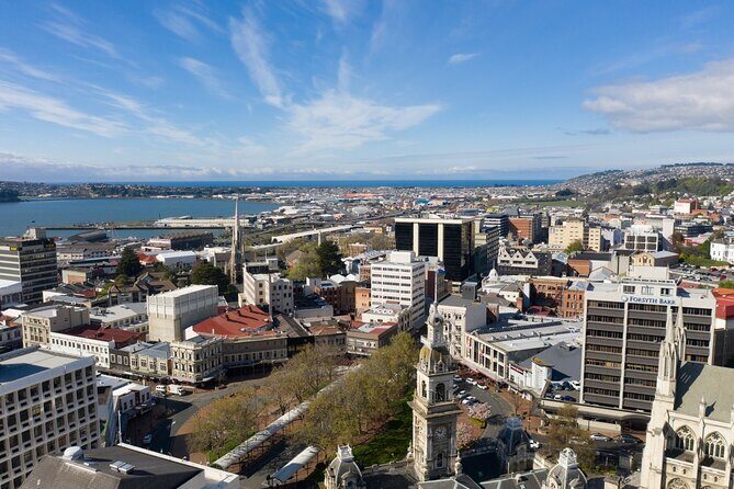 Cruise Dunedin City and Castle Tour - Who Should Book This Tour?
