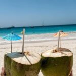 Cruise Passanger Beach day in Barbados with shuttle transfers - Who Should Consider This Tour?