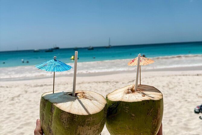 Cruise Passanger Beach day in Barbados with shuttle transfers - Who Should Consider This Tour?