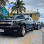 Cruise Port Transfer with Optional Vehicle - Real Experiences: What Travelers Say