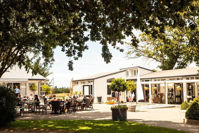 CRUISE SHIP DAY LYTTELTON Hop On Hop Off Wine Tours to Waipara - Who Is This Tour Best For?