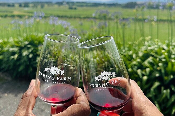 Cruise Ship Friendly Yarra Valley Wine Tour with Port Pickup - The Sum Up