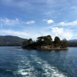 Cruise Ship - Port Arthur Shore Excursion - Hobart - Why Choose This Tour?
