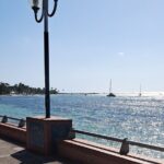 Cruise Stopover at Village Sainte Anne and its Beach - The Practicalities: Transportation, Duration, and Group Size