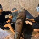 Cu Chi tunnel and Mekong Delta full day trip from Ho Chi Minh - Boat Rides and Cultural Insights