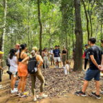 Cu Chi Tunnels Afternoon Trip from Ho Chi Minh City - The Value of the Tour