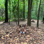 Cu Chi Tunnels Tour: Learn More About Vietnam War History - The Film and Educational Insights